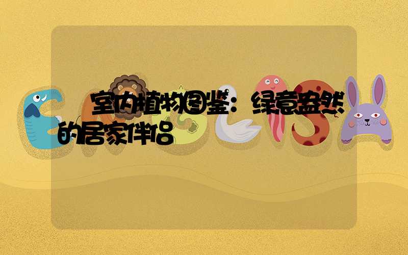  室内植物图鉴：绿意盎然的居家伴侣